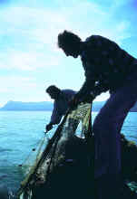 Amasra Balıkçılar