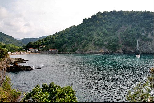 Koy Koy Karadeniz