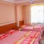 alay motel