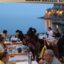 Canlı Balık Restaurant