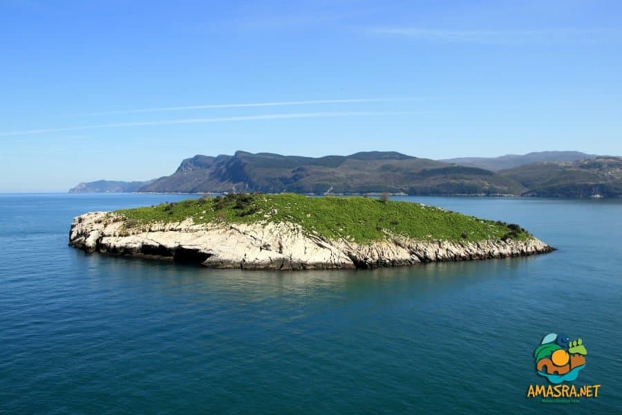 tavsan adasi Tavşan Adası