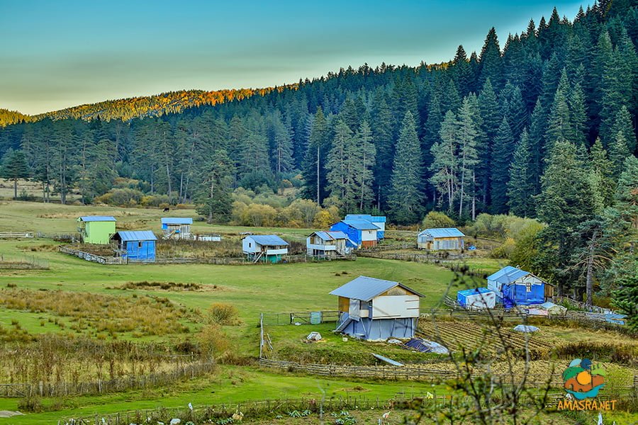 Uluyayla